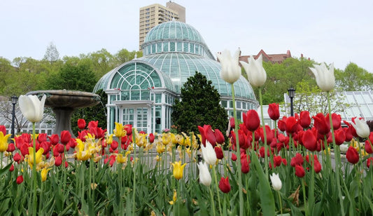 Peaceful gardens to visit in NYC