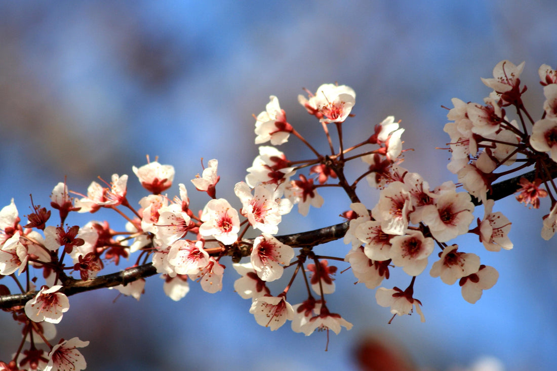 Spring trends for 2026